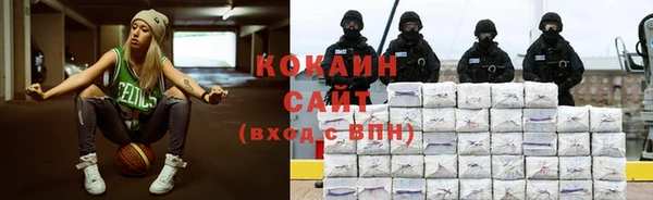 прущие грибы Арсеньев