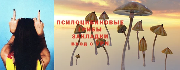 прущие грибы Арсеньев