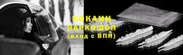 прущие грибы Арсеньев