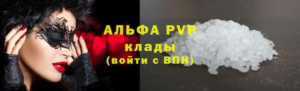 прущие грибы Арсеньев